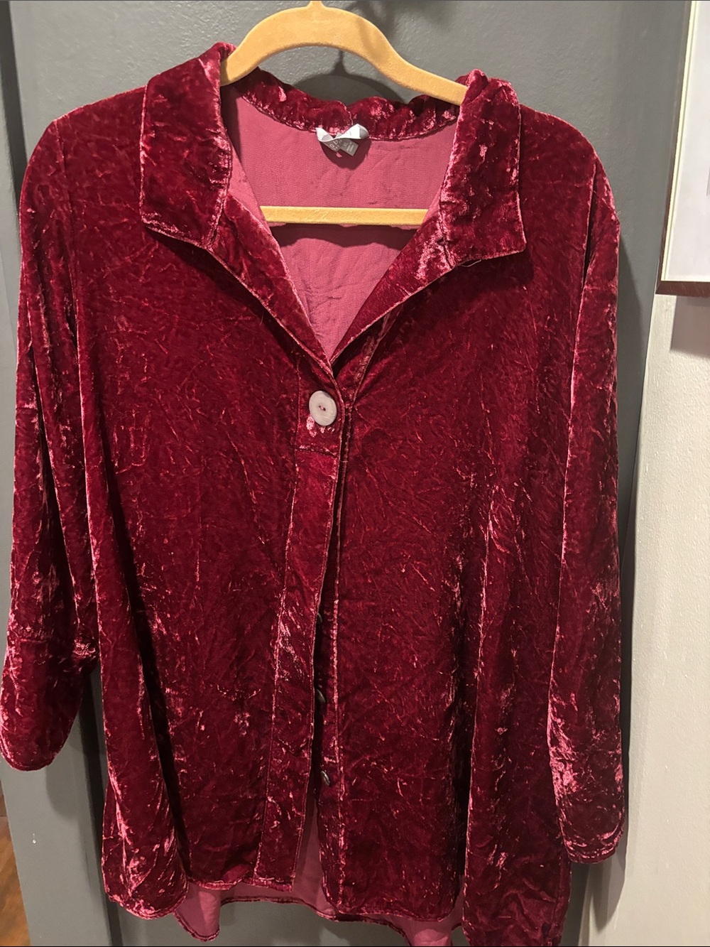 Habitat Velvet Button-Down Top in Wine Red